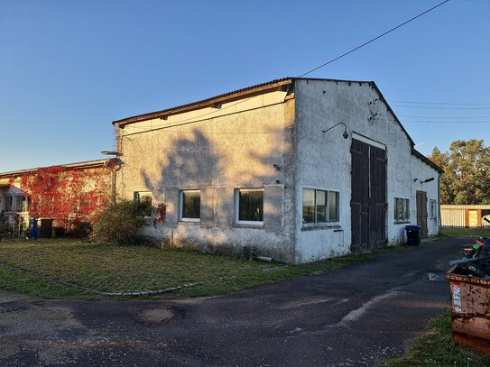 Lagerhalle mit Einliegerwohnung (140 m2) und Büro (50 m2) , und Nebengelass (Scheune, Garagen) auf riesigem Grundstück…