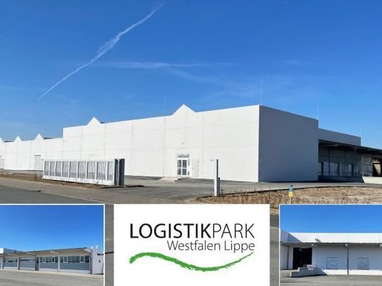 2.000 - 10.000 m² innovative TOP - Verkaufs-/Lager-/Logistikhallen - Lippstadt - Gewerbegebiet Am Wasserturm zu vermiet…