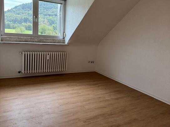 Schöne 3 ZKB-Dach-Wohnung in Trier Pfalzel