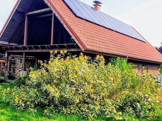 Einfamilienhaus mit großem eingewachsenem Grundstück für Naturliebhaber