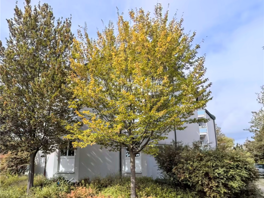 Ihre neue Wohlfühloase in Landau in der Pfalz Helle 3-Zimmer-Wohnung mit Balkon