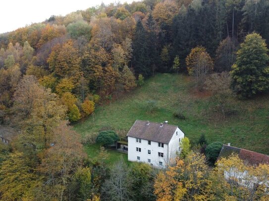 Ein-/Zweifamilienhaus in Alleinlage mit großzügigem Grundstück nähe der Innenstadt