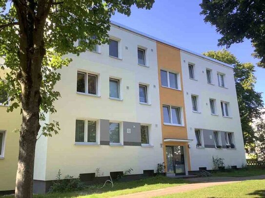 Endlich Zuhause: individuelle 2-Zimmer-Wohnung im Erdgeschoss mit Dusche und Balkon.