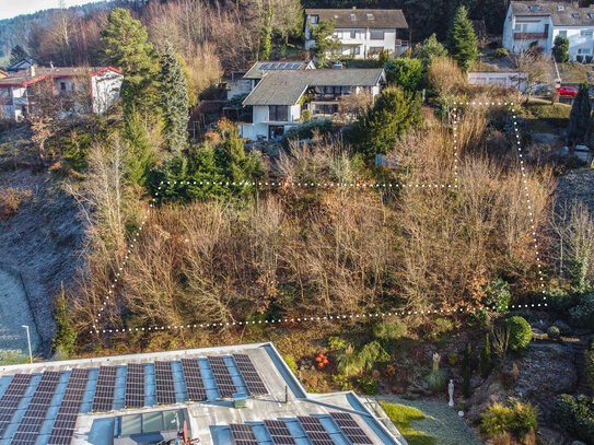 Großes Baugrundstück in fantastischer Hanglage in 79183 Waldkirch