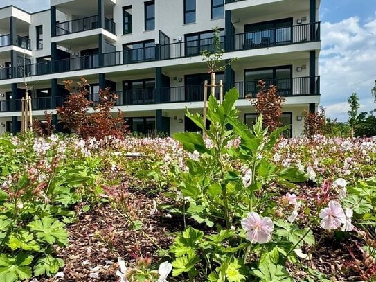 Neubau-Mietwohnungen in 93133 Burglengenfeld "Spitalgärten", teilmöbliert mit Südwest-Terrasse und privatem Garten