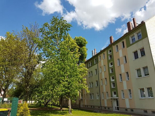 1 Raum-Dachgeschosswohnung in Campus-Nähe