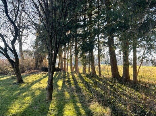 Grundstück mit Baurecht für bis zu drei Wohneinheiten in Ottenhofen