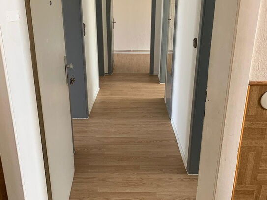 Neu renovierte 3-Zimmer Wohnung