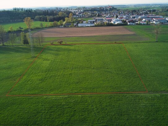 Attraktive Landwirtschaftsfläche! Gut andienbares Grünland in gesuchter Lage