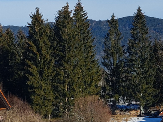 Baugrundstück für EFH mit weitläufiger Natur in zentraler Lage