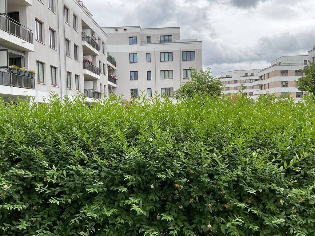 2-Zimmer-Wohnung in Spandau - Foto 1