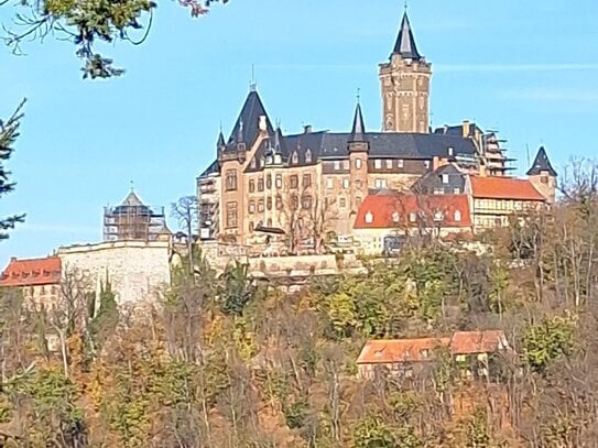 Beste Lage! Außergewöhnliches u. schönes 12-Familienhaus mit Blick zum Schloss, plus separater Bungalow, plus 4 Garagen…