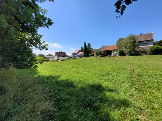 Großes Grundstück ohne Bauzwang in Wildeck-Bosserode