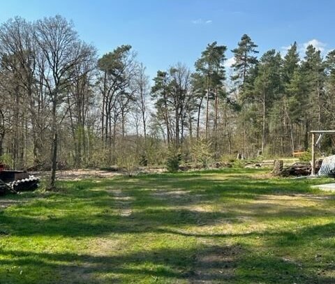 Schönes Waldgrundstück wartet auf Bauherrn mit Liebe zur Natur