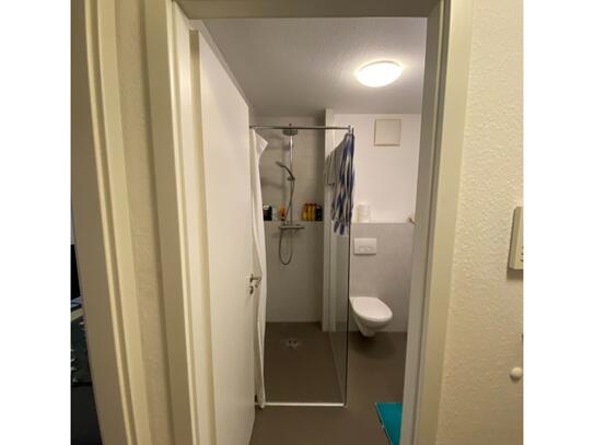 Neu renovierte 1-Zi.- Wohnung in Friedrichshafen zu vermieten