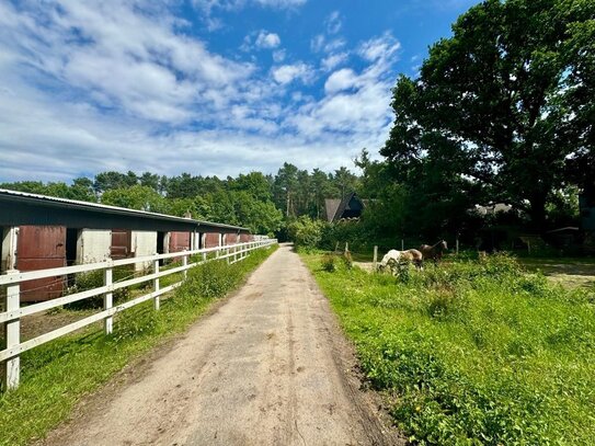 Baugrundstück mit Pferdehaltung am Wittmoor