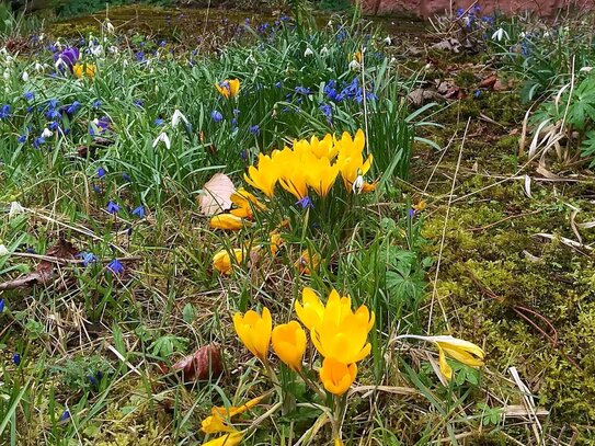 Der Frühling naht - Geniessen Sie die gepflegte DHH