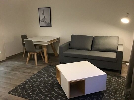 Möbliertes 1 Zimmer-Appartement im EG! Für Studenten bestens geeignet!