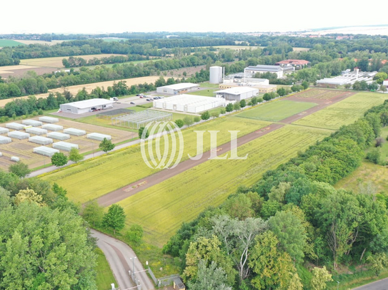 7,7 ha Betriebsgelände mit mehreren Hallen mieten (auch in Teilen) oder kaufen