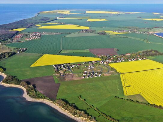 Reetdach Haus Meeresbrise: Eine Perle am Meer auf Rügen