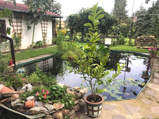 Landhaus mit Garagen u. großem Garten.