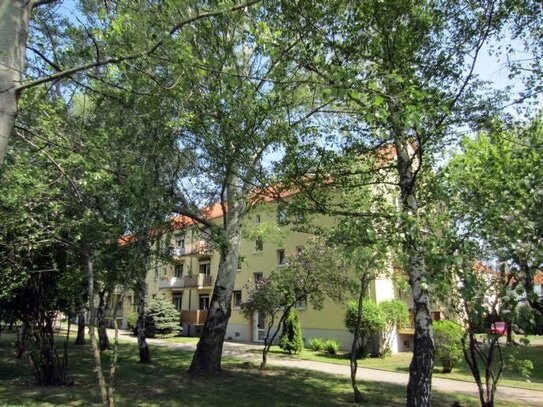 * Frisch renovierte Wohnung mit Balkon in saniertem Wohnhaus in grüner Ruhiglage - Röblingen am See *