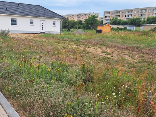 Aktionsangebot...Bungalow Stadtrand im Grünen