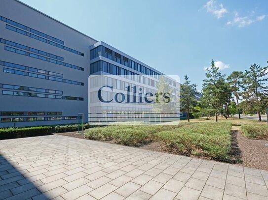 Moderne Büroflächen mit hoher Sichtbarkeit - COLLIERS