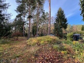 Idyllisches Baugrundstück mit Baugrund und Bestandsimmobilie - auch teilbar