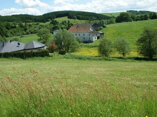 **Voll erschlossenes Baugrundstück mit Weitblick in der Eifel**