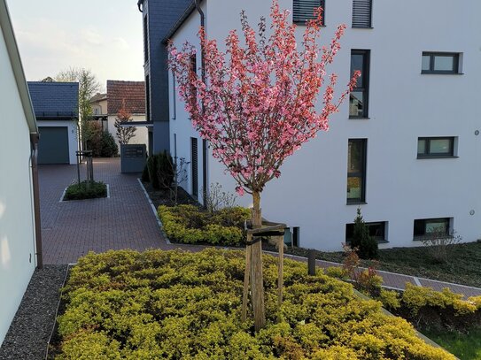 Moderne 120qm Wohnung mit Küche, Garderobe, grosser Terrasse, Aufzug und Ausblick ab 01.01.2025