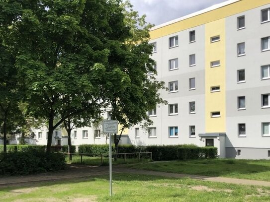 Neues Jahr / Neue Wohnung / Neues Glück