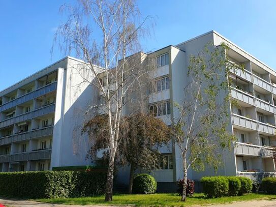 Große 3 Zimmer-Wohnung in Halle mit Balkon und Wintergarten ab 01.01.2025