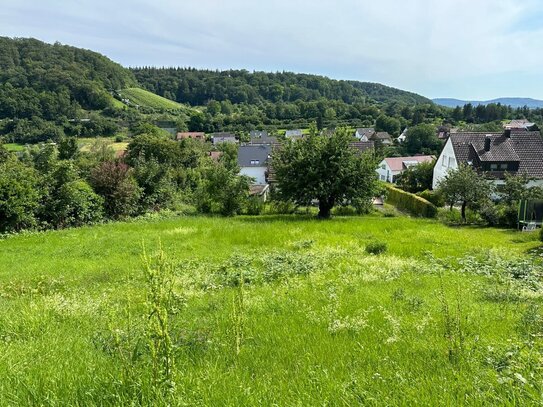 BAUPLATZ IN SÜDHANGLAGE