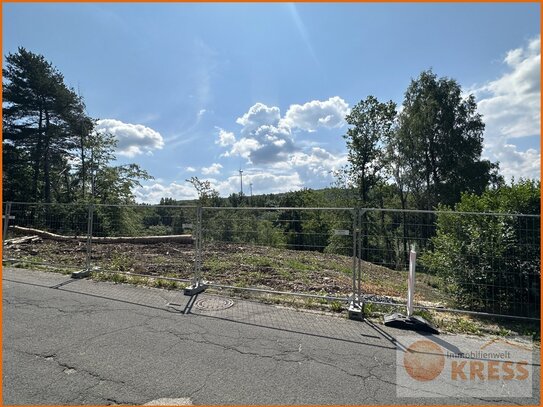 Wunderschöner, ebener, bauvorbereiteter Bauplatz im Eisenbahnerdorf Elm - voll erschlossen