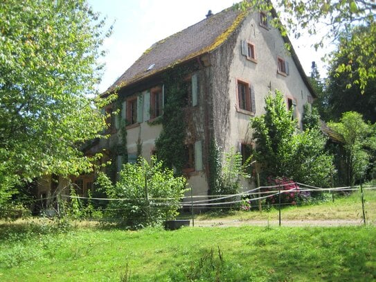 Liebhaberobjekt. Ehemaliges Forsthaus im Außenbereich am Bachlauf/Pferdehaltung/Waldrandlage/Nebengebäude