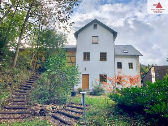 3,5-Raum-Dachgeschosswohnung mit Einbauküche in Schmiedeberg/Buschmühle
