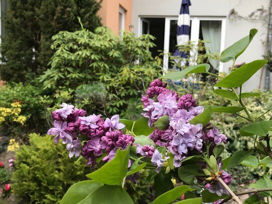 5-Zimmer-Maisonette-Wohnung mit Garten und Carport