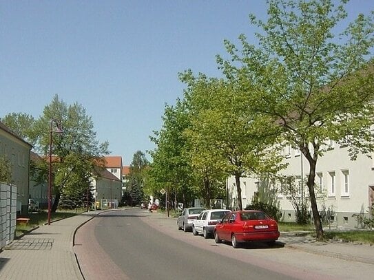 Starten Sie in den Frühling mit einer frisch renovierten Wohnung!