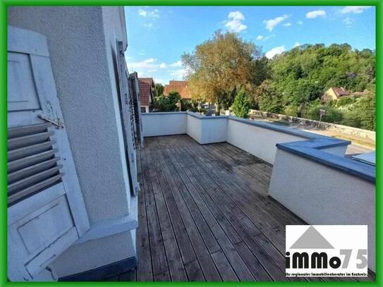 ?? klasse 5,5 Zimmer Wohnung mit XXL-Dachterrasse, hell, freundlich und modern ??? ??