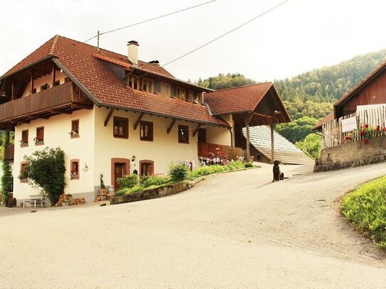 Traumhaft gelegener Ferien- und Reithof in Wambach