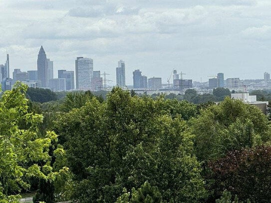 Traumblick über die Frankfurter Skyline !