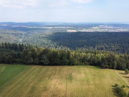 Panorama-Weitblick für kleines Budget