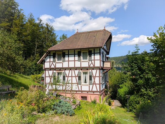 Zentrum und mitten im Grünen - Fachwerkhaus mit Garten, Garage und Gästehaus