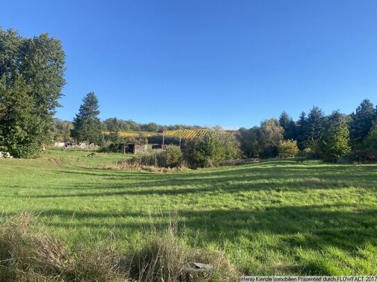 **** RESERVIERT **** Ländlich gelegenes Baugrundstück für ein Einfamilienhaus in Niederau