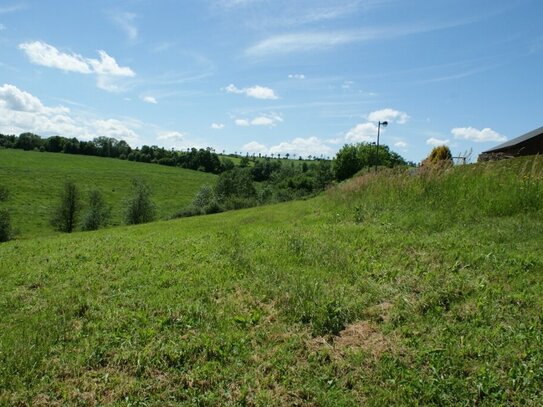 **Bauen Sie Ihre Traumimmobilie: Baugrundstück mit Weitblick in der Eifel**