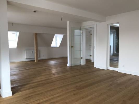 Traumhafte Altbauwohnung mit großer Dachterrasse und unverbautem Ausblick