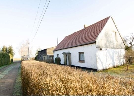 Natur pur - sanierungsbedürftiges EFH mit großem Grundstück und Nebengelass