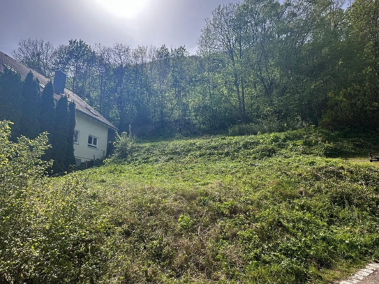 Einzigartiges Baugrundstück in Hanglage mit Streuobstwiese - Ihr Traum vom Eigenheim in Lichtenstein