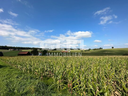 Verpachtetes landwirtschaftliches Grundstück in Schwimmbach